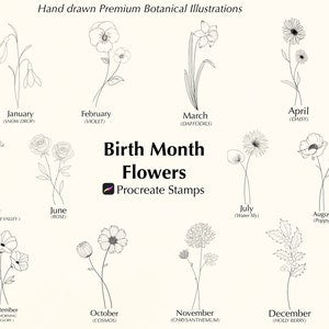 Birth month flower stamp set for Procreate, with botanical month labels