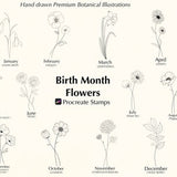 Procreate Birth Month Flower Stamps | Procreate Flowers | Procreate Brushset | Commercial use included