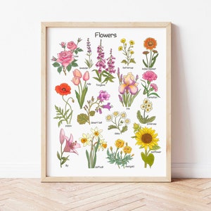 Framed botanical flowers poster print with colorful illustrated blooms and leaves