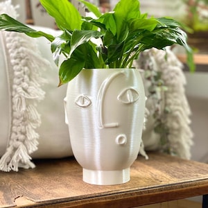 White face planter with three eyes and mouth, holding a small green succulent plant