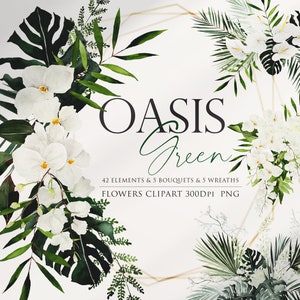 Watercolor floral clipart set with white blossoms and green tropical leaves