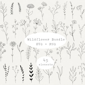 Botanical SVG bundle with 45 floral and leaf line-art elements