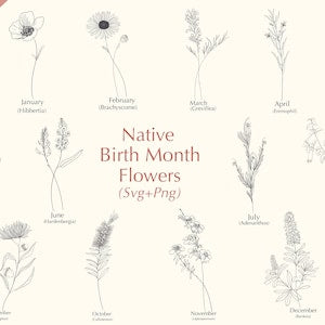 Birth month flowers SVG bundle with labeled botanical illustrations for 12 months