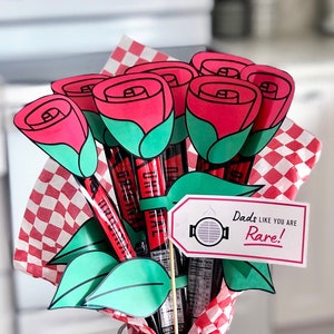 Jerky bouquet gift with red and teal paper roses, checkered wrap, novelty card