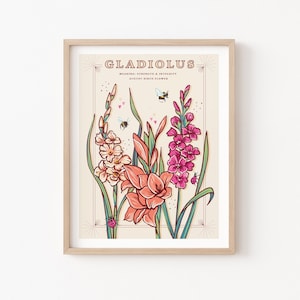Gladiolus Wall Art Print, August Birth Flower Illustration Print