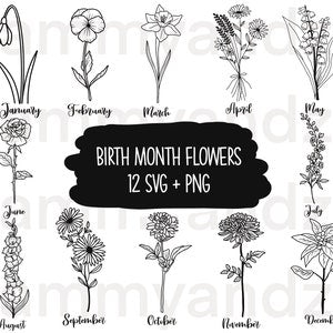 Hand-drawn birth month flower SVG set with thin black line wildflower illustrations