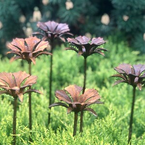 Rusty metal flower garden stakes set, six curled petal flower heads on tall stems