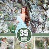35 Apple tree  blossom spring summer white branch overlays, painted photo layer, Blur Photo for Photographers, falling petals, png