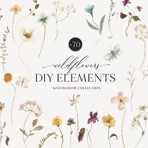 Watercolor wildflower and foliage clipart set with butterflies, DIY elements