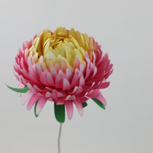 Mini paper chrysanthemum flower with pink, yellow, and white layered petals and green leaves