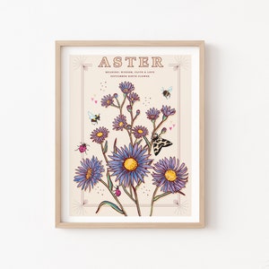 Framed wall art print with aster and wildflower botanical illustration on light background