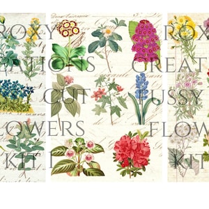 Printable fussy-cut flower design kit, colorful botanical collage on paper