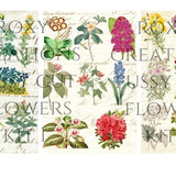 Fussy cut flowers printable kit 1