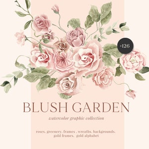 Blush dusty pink rose and eucalyptus floral clipart set with leaves and frame