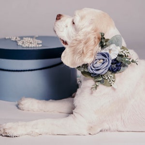 Dusty blue succulent floral dog wedding collar with white and green leaves
