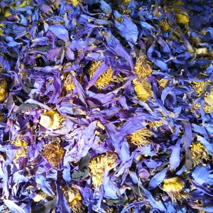 Dried blue lotus flower tea petals, loose herbal blend
