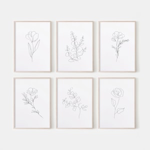 Set of 6 framed botanical line-art flower prints, monochrome line drawings on paper