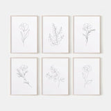Flower Line Art. Set Of 6 Prints. Floral Line Art. Flower Prints. Botanical Wall Art. Living Room Wall Decor. Flower Wall Decor. Line Art.