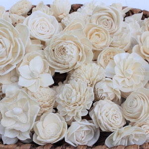 Assorted white sola wood flowers with layered rosette petals and small blossoms