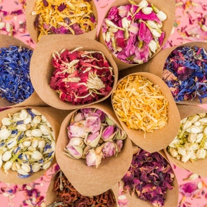 Biodegradable wedding confetti cones with mixed flower petals