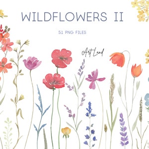 Watercolor wildflower clipart set with colorful flowers and stems, transparent PNG