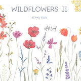 Watercolor wildflower clipart set with colorful flowers and stems, transparent PNG