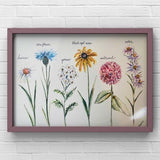 Botanical Watercolour Labeled Wildflower Print, Long Stemmed Wildflowers, Watercolour Wildflower Garden, Ontario Wildflowers, Named Florals