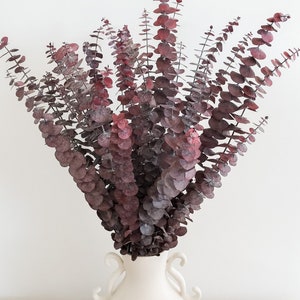 Preserved red eucalyptus floral arrangement in white decorative vase, full sprig cluster