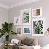 6 Pieces Tropical FRAMED Prints Gallery Wall Art Poster Set. Framed Wall Art Set of 6. Botanical Framed Gallery Wall Set, Housewarming Gifts