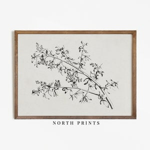 Framed minimalist botanical sketch art print with black line branch and small flowers