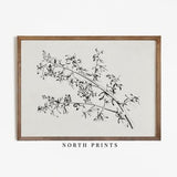 Minimalist Neutral Botanical Sketch | Vintage Flower Art Print | Digital Downloadable PRINTABLE | 854
