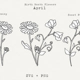 Daisy SVG, Sweet Pea SVG, April Birth Month Flower SVG, April Birthday Flower, Botanical Line Art, Floral Clipart, Sweetpea, Cricut Cut File