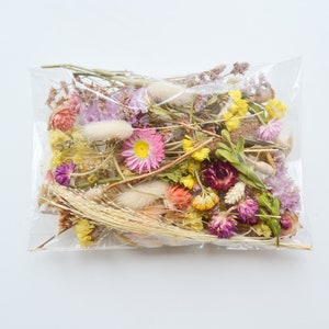 Real dried flower craft pack in clear bag with assorted mini preserved blooms