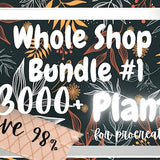 3000+ Plant Procreate Bundle: Watercolor, Sketch and Cutout Flowers and Foliage Procreate Stamps and Procreate Palettes. Tropical Leaves etc