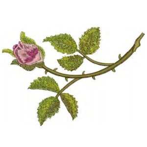 Floral embroidery motif: pink rose bud with green leaves on dark branch