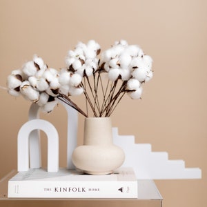 Bunch of dried white cotton stems with fluffy seed pods in a small vase