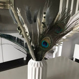 Peacock Pampas &  Eucalyptus with grey and white dried blooms | Gift | UK | Letterbox Friendly | 30 cm | Free UK Postage | Home Decor |