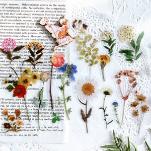 Clear PET pressed flower plastic stickers, transparent sheets with mixed botanical designs