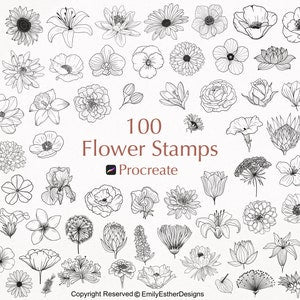Procreate flower stamp set with 100 botanical line-art icons, black-and-white flower outlines