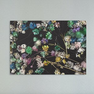 Rectangular floral wall poster with multicolor blossoms and thin line artwork