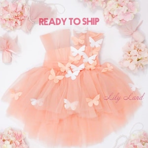 Peach baby butterfly tutu dress with white butterfly appliques and layered tulle skirt