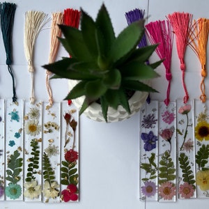 Handmade bookmark with pressed green succulent flower on white card and fabric tassel