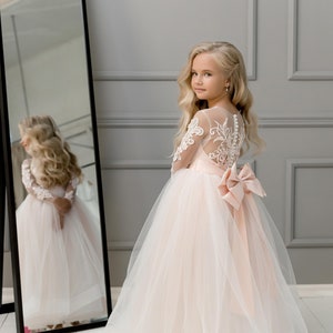 Blush floral embroidered tulle princess dress with lace bodice and waist bow