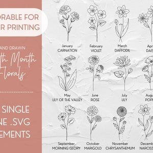 Birth month flowers SVG file with single-line botanical sketches for 12 months