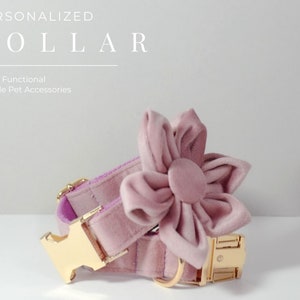 Pink velvet dog collar with large fabric flower and gold buckle hardware