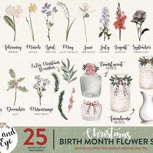 Watercolor floral clipart PNG bundle with birth month and Christmas flower designs