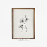 Minimalist Neutral Spring Botanical Drawing | Vintage Flower Print | Antique Sketch PRINTABLE Digital | SK152