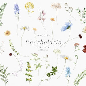 Watercolor wildflower and plant clipart set featuring delicate blossoms and leaves