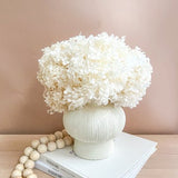Preserved white hydrangea in white ceramic vase with dried flower cluster