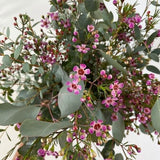 Fresh flower bouquet/ fresh Silver Dollar/ Flowerwax/ greenery/ Eucalyptus/ Eucalyptus bouquet/ wedding bouquet/ galentines/ valentines